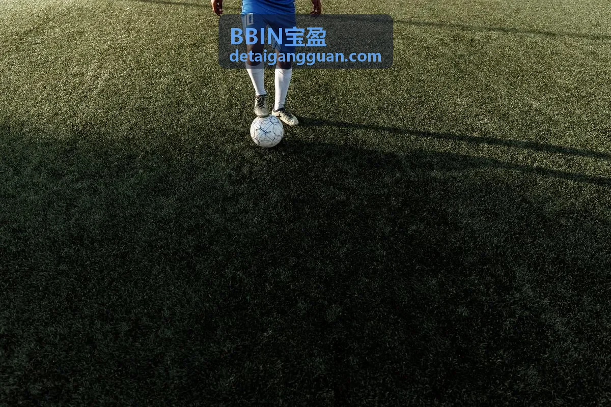 BBIN宝盈科技抽象视觉
